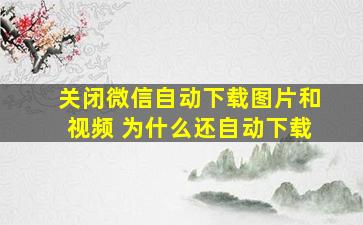 关闭微信自动下载图片和视频 为什么还自动下载